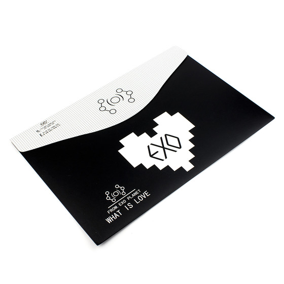 Бумажная папка-конверт для документов EXO LUHAN Logotype Black Ver. / EXO