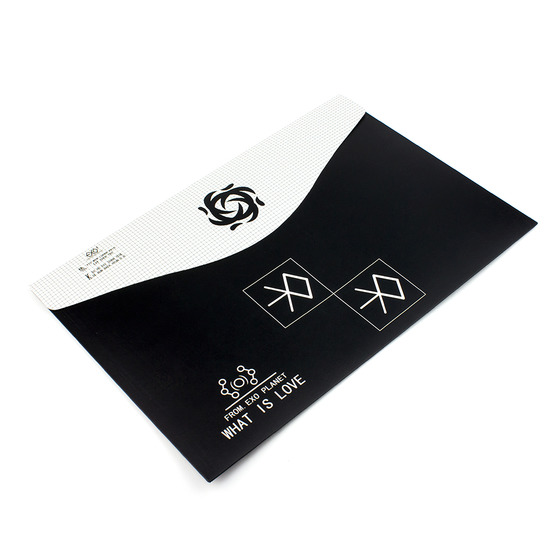 Бумажная папка-конверт для документов EXO Logotype Black Ver. / EXO