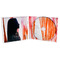 YUI Album: ORANGE GARDEN POP (Regular Edition) / CD 2